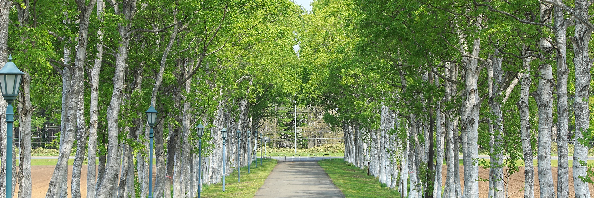 キャリアセンターについて